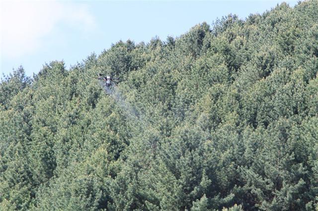 臨江林業(yè)局:無人機(jī)噴藥防蟲大顯身手(圖1) 臨江林業(yè)局:無人機(jī)噴藥防蟲大顯身手(圖1)