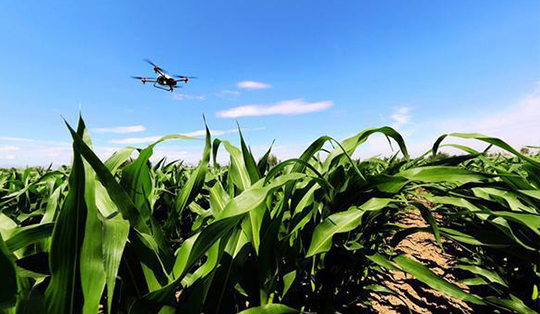 無(wú)人機(jī)技術(shù)在現(xiàn)代農(nóng)業(yè)領(lǐng)域的應(yīng)用與發(fā)展(圖5)