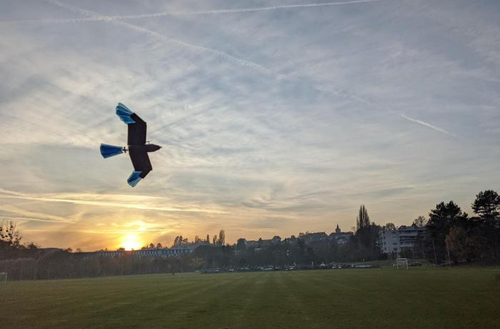 最新研發(fā)鳥型無人機 可在城市森林等密集環(huán)境轉(zhuǎn)彎避障(圖1)