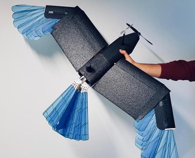 最新研發(fā)鳥型無人機 可在城市森林等密集環(huán)境轉(zhuǎn)彎避障(圖2)