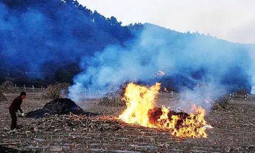千里眼無人機監控焚燒秸稈污染環境行為(圖1) 千里眼無人機監控焚燒秸稈污染環境行為(圖1)