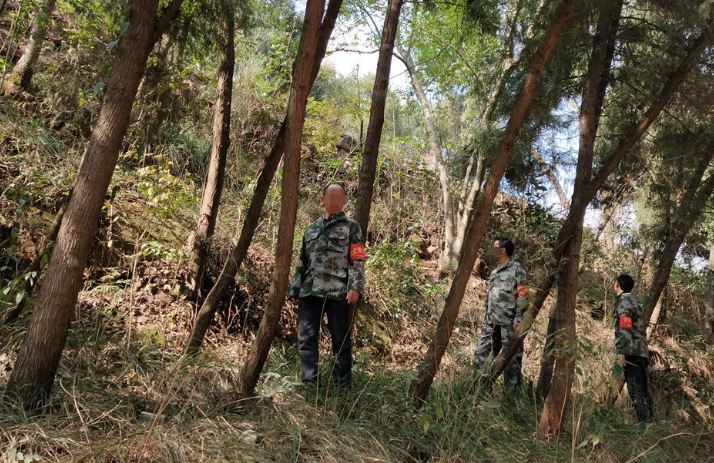 無人機應用如何在林區巡邏大展身手?(圖1) 無人機應用如何在林區巡邏大展身手?(圖1)