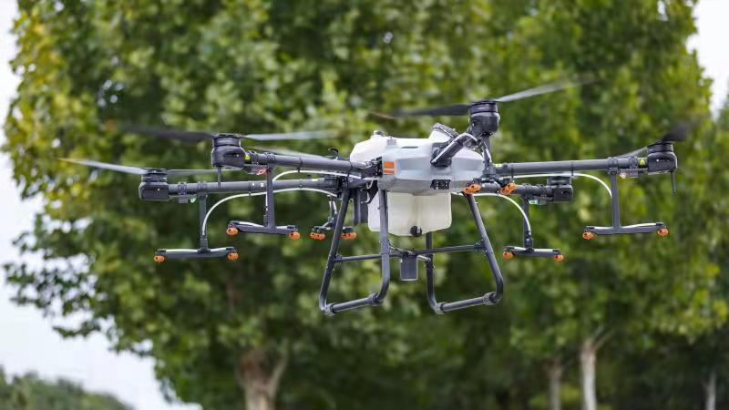 無人機消殺美國白蛾 防止蛾蛹入土越冬(圖1) 無人機消殺美國白蛾 防止蛾蛹入土越冬(圖1)